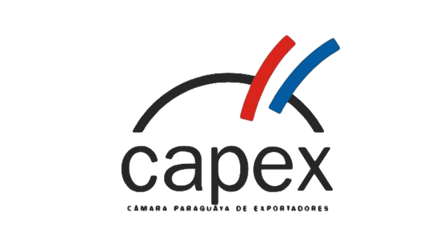 CAPEX
